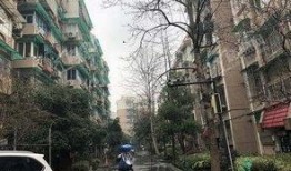 九龙小区爆料视频最新,揭秘神秘事件真相！