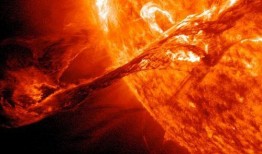 星尘爆料最新消息新闻,最新消息揭示娱乐圈惊人内幕